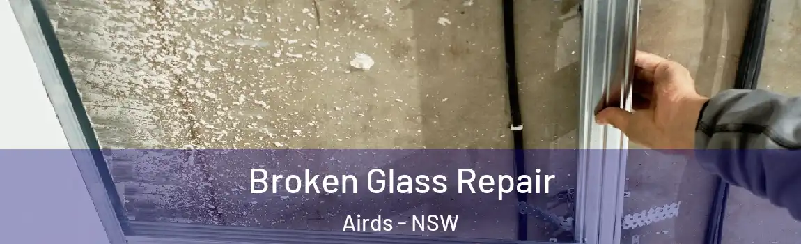  Broken Glass Repair Airds - NSW