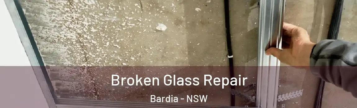  Broken Glass Repair Bardia - NSW