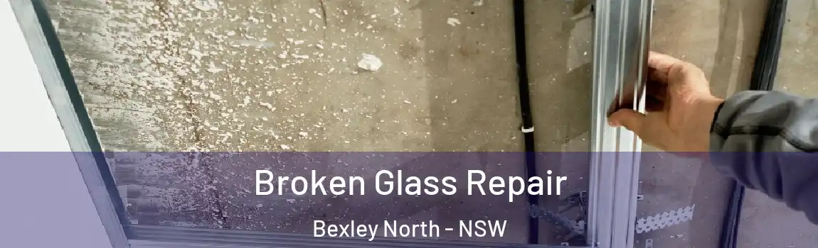 Broken Glass Repair Bexley North - NSW