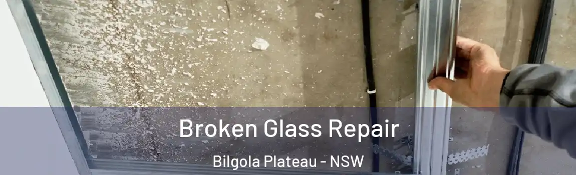  Broken Glass Repair Bilgola Plateau - NSW