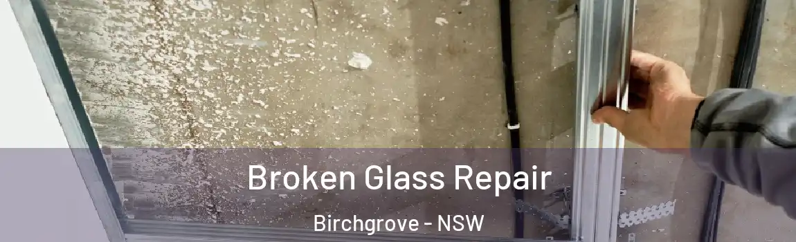  Broken Glass Repair Birchgrove - NSW