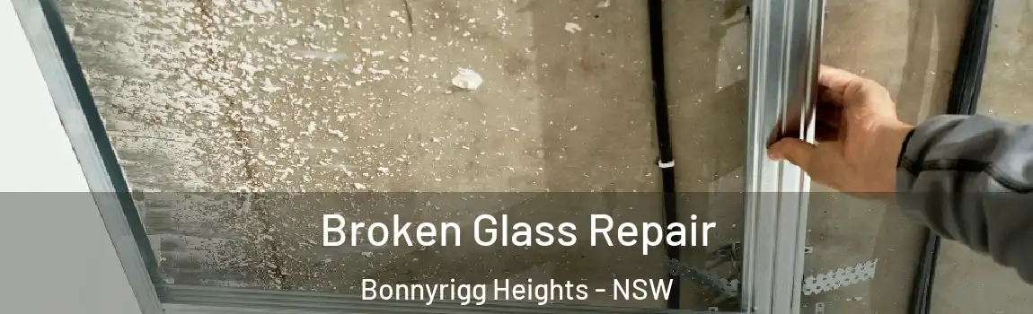  Broken Glass Repair Bonnyrigg Heights - NSW