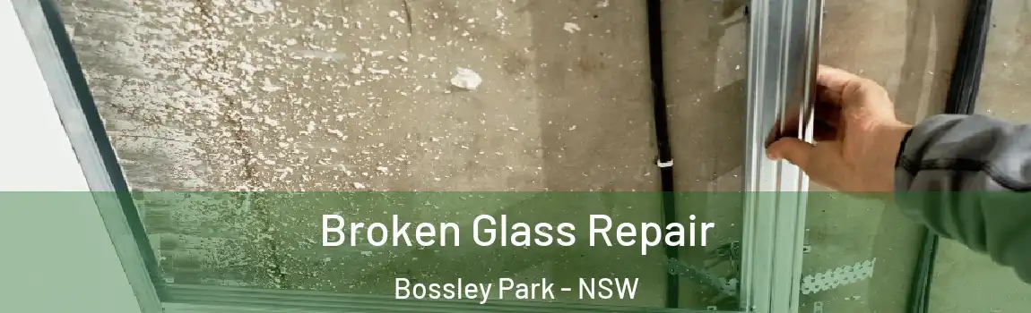  Broken Glass Repair Bossley Park - NSW