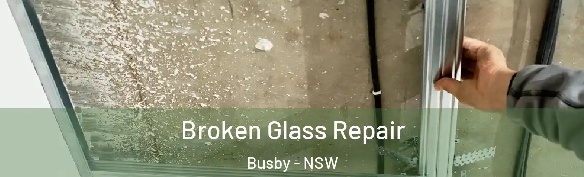  Broken Glass Repair Busby - NSW