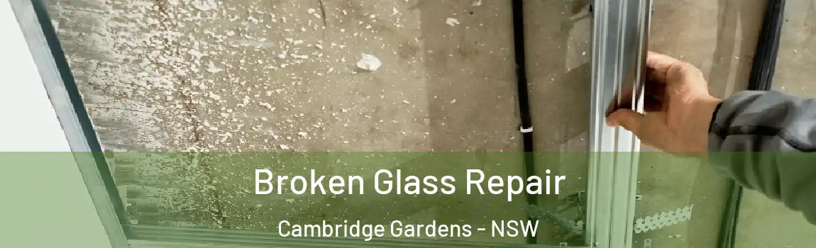  Broken Glass Repair Cambridge Gardens - NSW