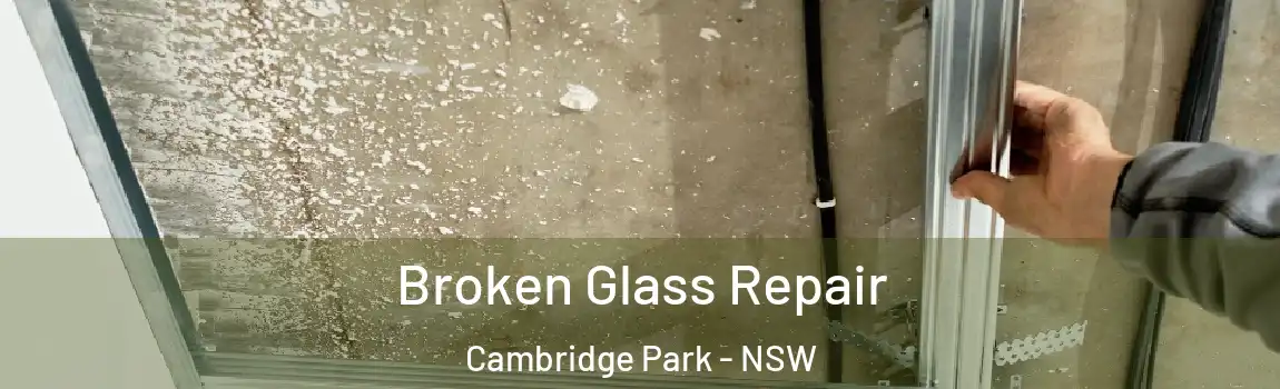  Broken Glass Repair Cambridge Park - NSW