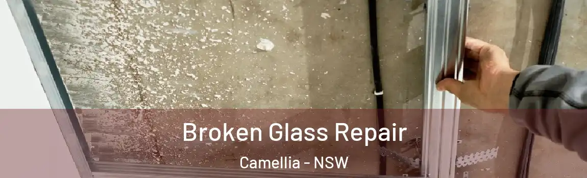  Broken Glass Repair Camellia - NSW