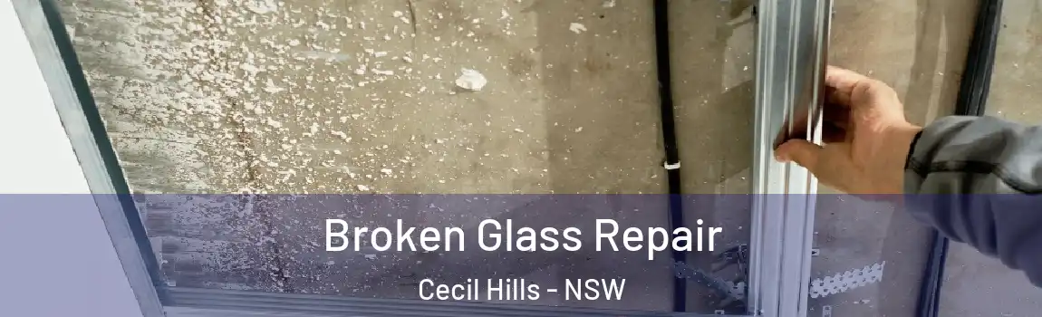  Broken Glass Repair Cecil Hills - NSW
