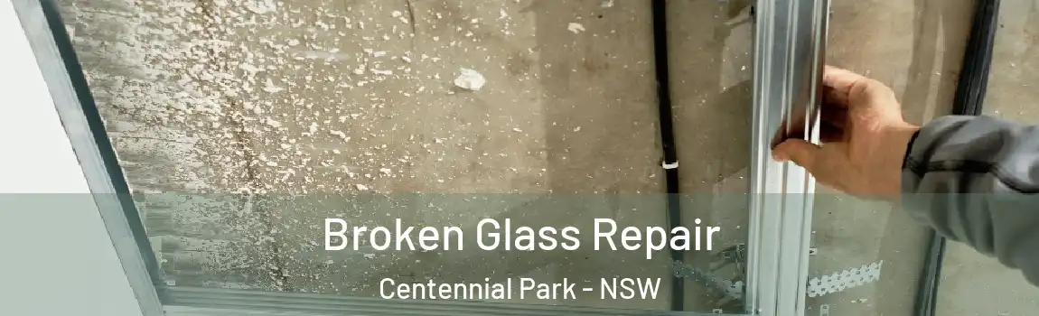  Broken Glass Repair Centennial Park - NSW