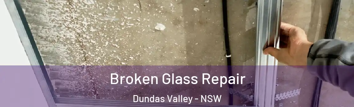  Broken Glass Repair Dundas Valley - NSW