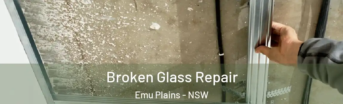  Broken Glass Repair Emu Plains - NSW