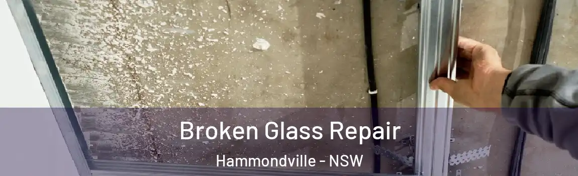  Broken Glass Repair Hammondville - NSW