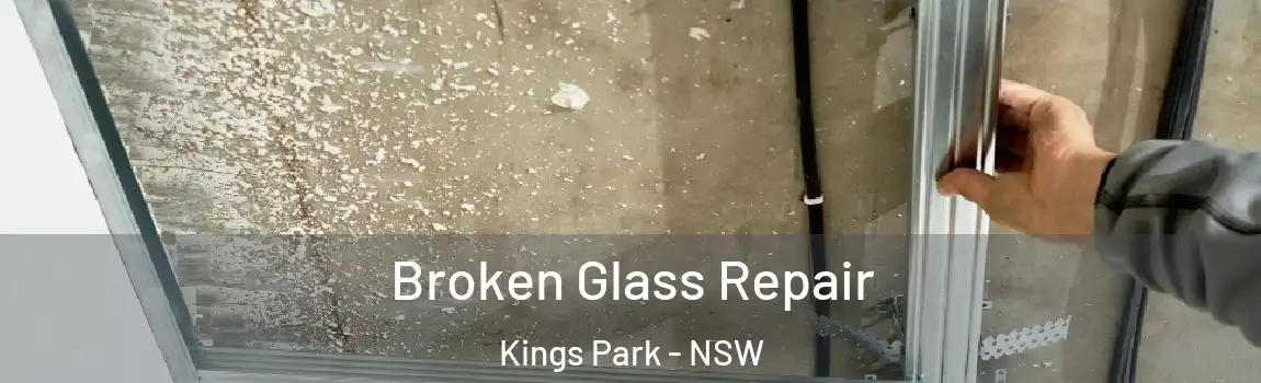  Broken Glass Repair Kings Park - NSW