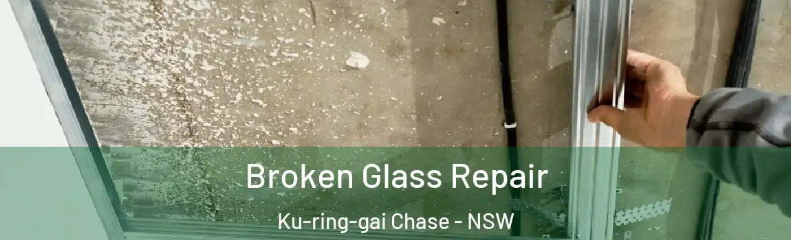  Broken Glass Repair Ku-ring-gai Chase - NSW