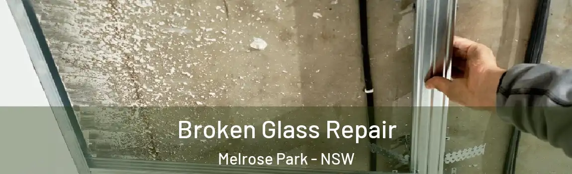  Broken Glass Repair Melrose Park - NSW
