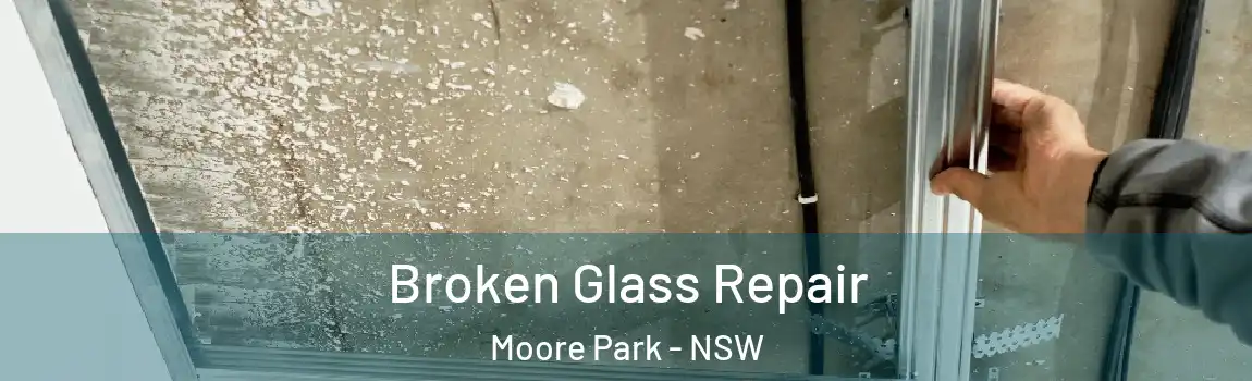  Broken Glass Repair Moore Park - NSW