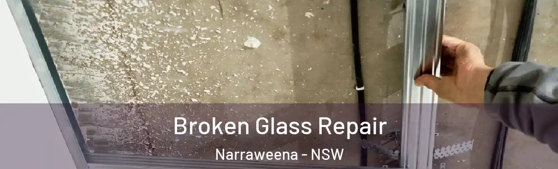  Broken Glass Repair Narraweena - NSW