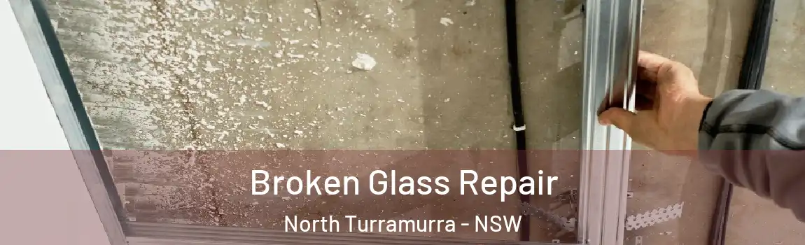  Broken Glass Repair North Turramurra - NSW
