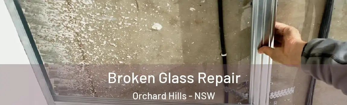  Broken Glass Repair Orchard Hills - NSW