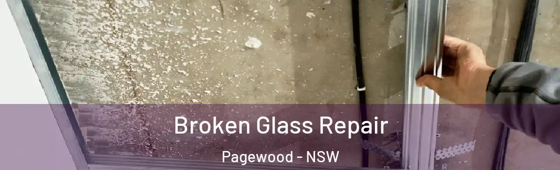  Broken Glass Repair Pagewood - NSW