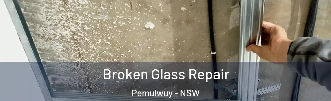  Broken Glass Repair Pemulwuy - NSW