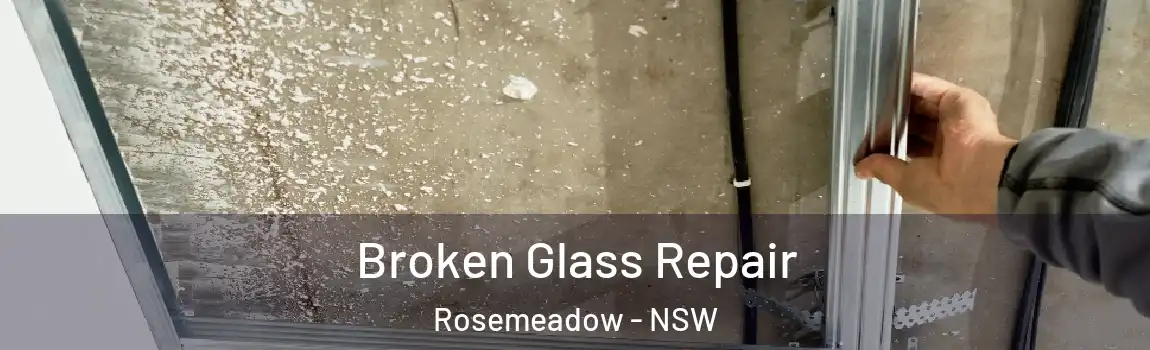  Broken Glass Repair Rosemeadow - NSW