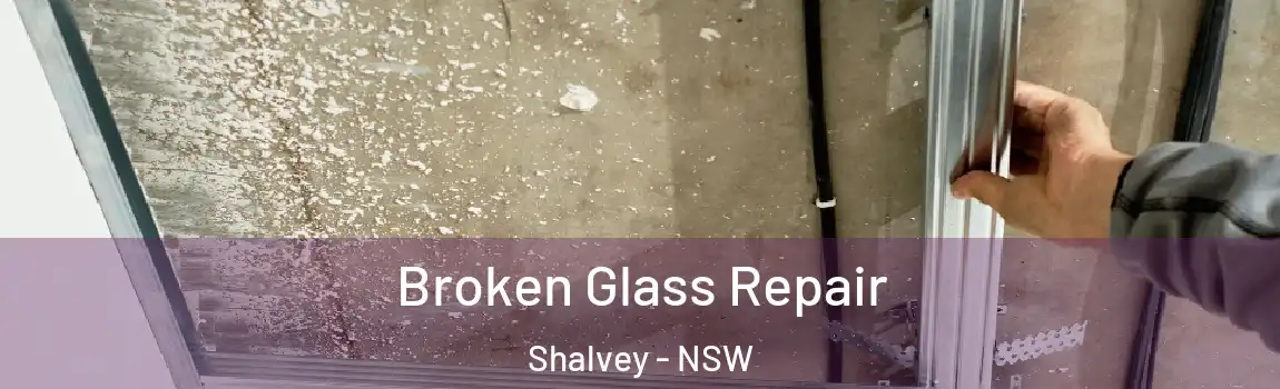  Broken Glass Repair Shalvey - NSW
