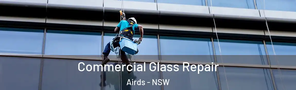  Commercial Glass Repair Airds - NSW
