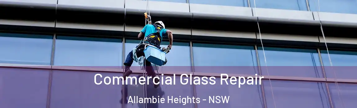  Commercial Glass Repair Allambie Heights - NSW