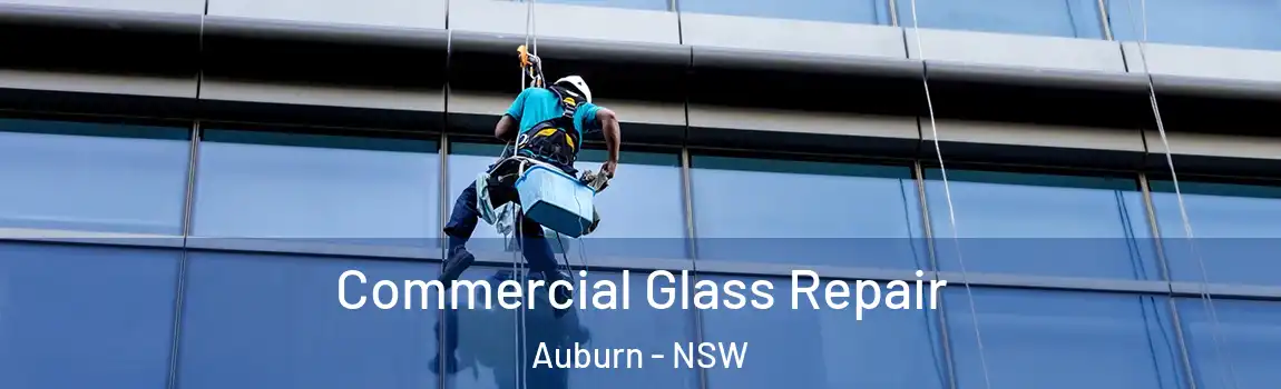  Commercial Glass Repair Auburn - NSW