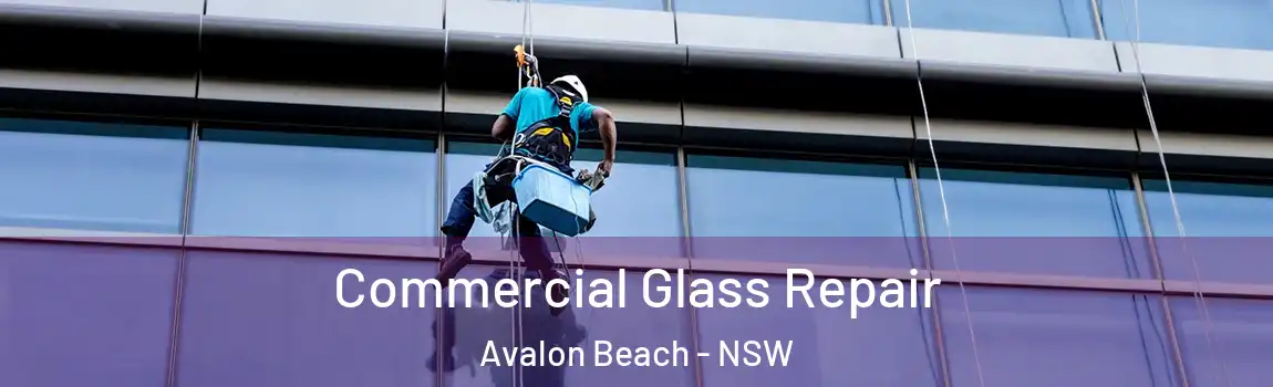  Commercial Glass Repair Avalon Beach - NSW