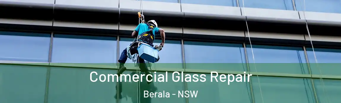  Commercial Glass Repair Berala - NSW