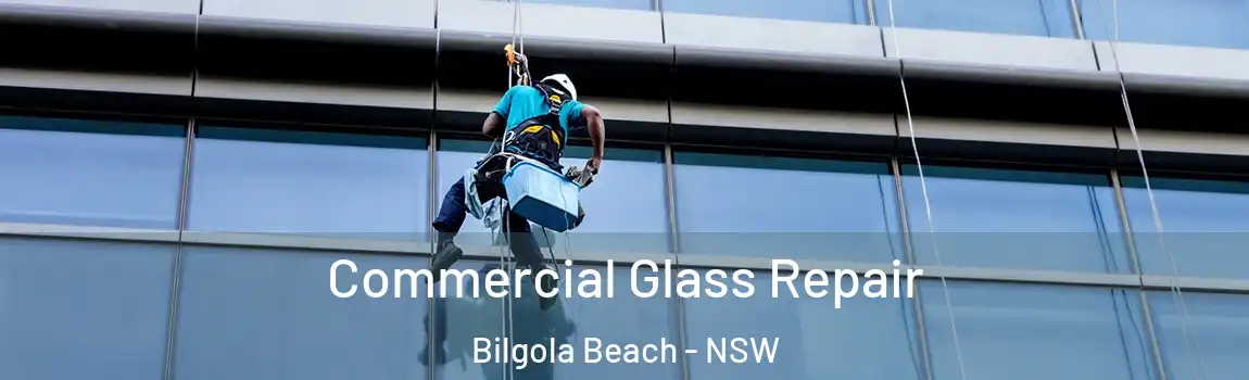  Commercial Glass Repair Bilgola Beach - NSW