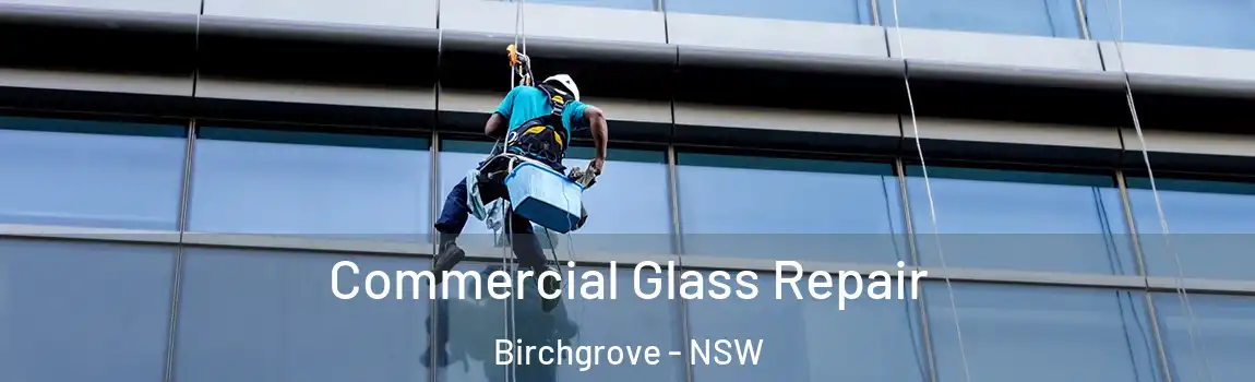  Commercial Glass Repair Birchgrove - NSW