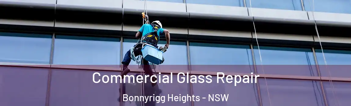  Commercial Glass Repair Bonnyrigg Heights - NSW