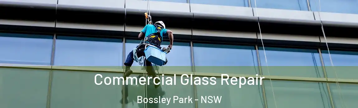  Commercial Glass Repair Bossley Park - NSW