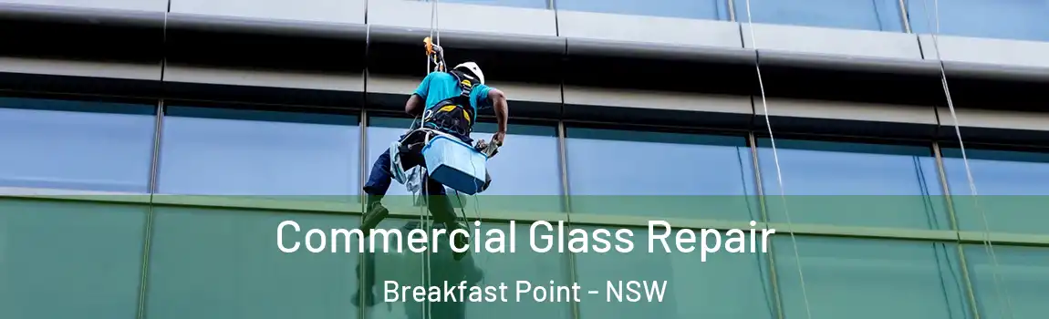  Commercial Glass Repair Breakfast Point - NSW