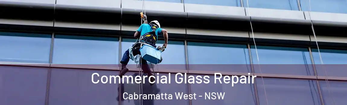  Commercial Glass Repair Cabramatta West - NSW