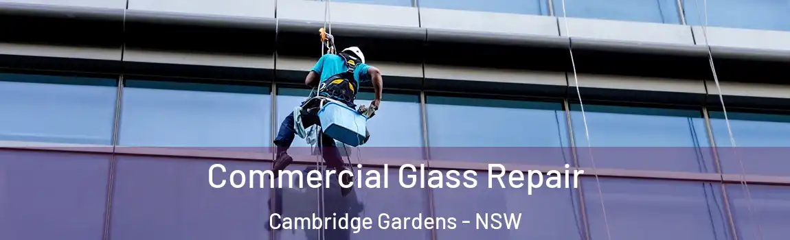 Commercial Glass Repair Cambridge Gardens - NSW