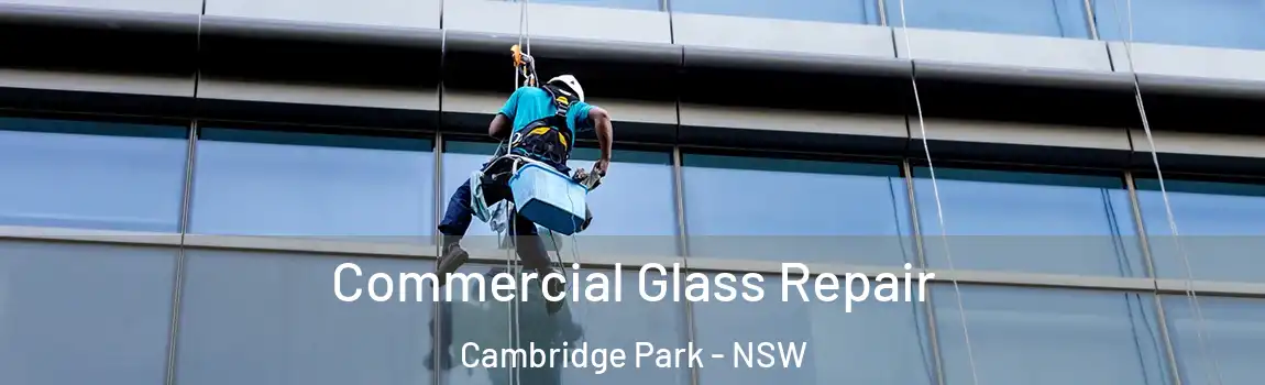  Commercial Glass Repair Cambridge Park - NSW