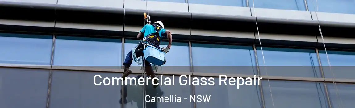  Commercial Glass Repair Camellia - NSW