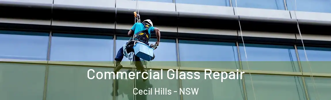  Commercial Glass Repair Cecil Hills - NSW