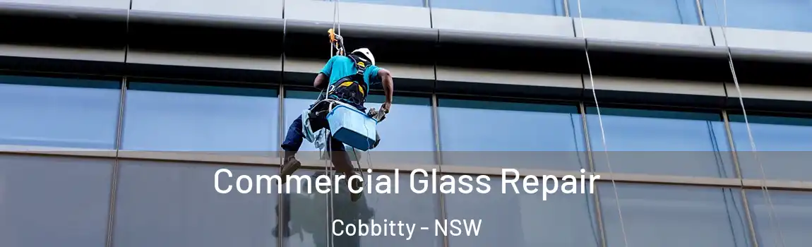  Commercial Glass Repair Cobbitty - NSW
