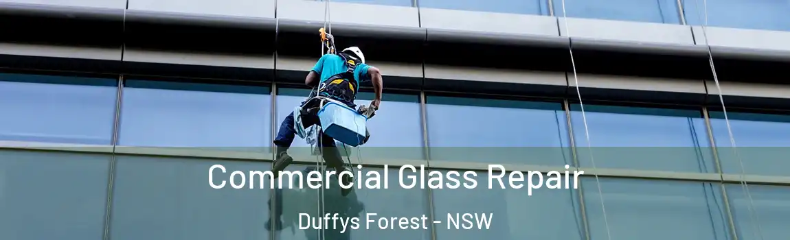 Commercial Glass Repair Duffys Forest - NSW