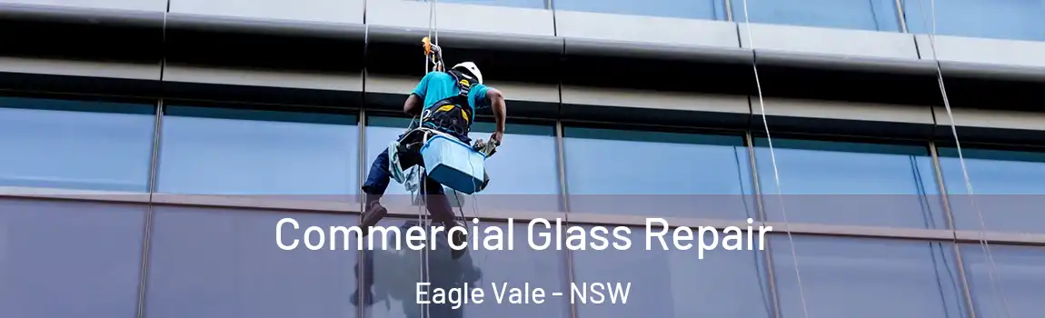  Commercial Glass Repair Eagle Vale - NSW