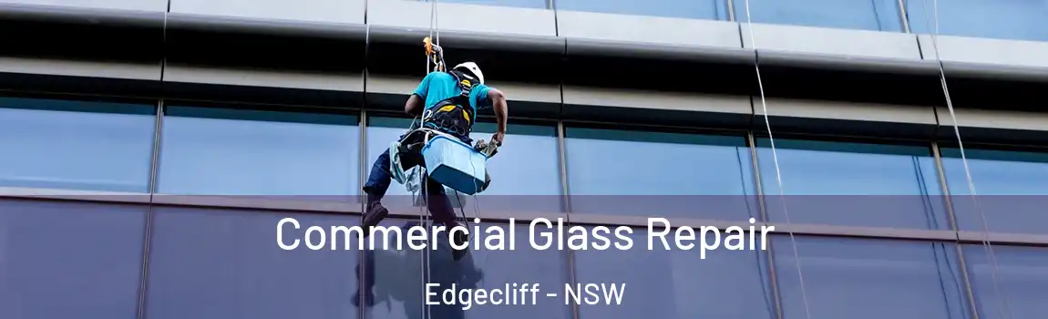  Commercial Glass Repair Edgecliff - NSW