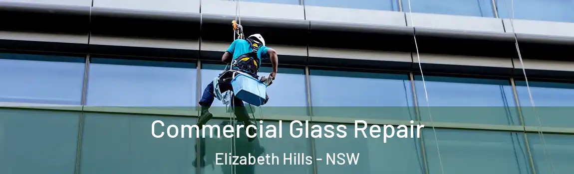  Commercial Glass Repair Elizabeth Hills - NSW
