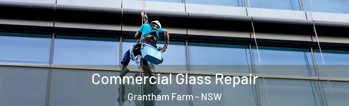  Commercial Glass Repair Grantham Farm - NSW