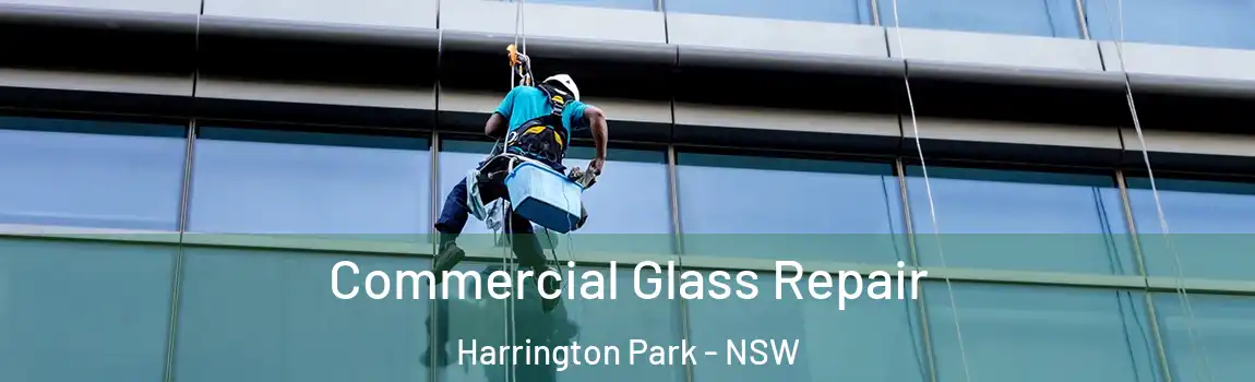  Commercial Glass Repair Harrington Park - NSW
