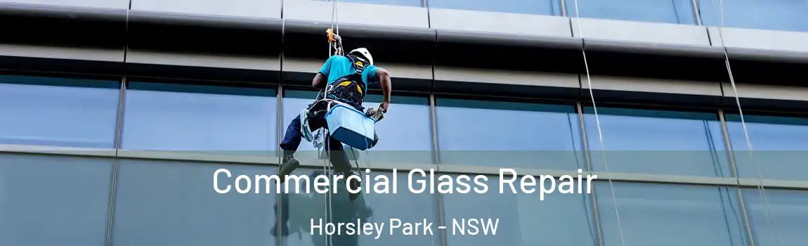  Commercial Glass Repair Horsley Park - NSW